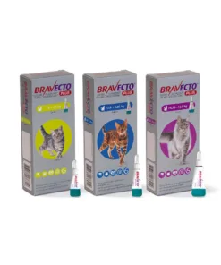 bravecto plus for cats 326x326 01