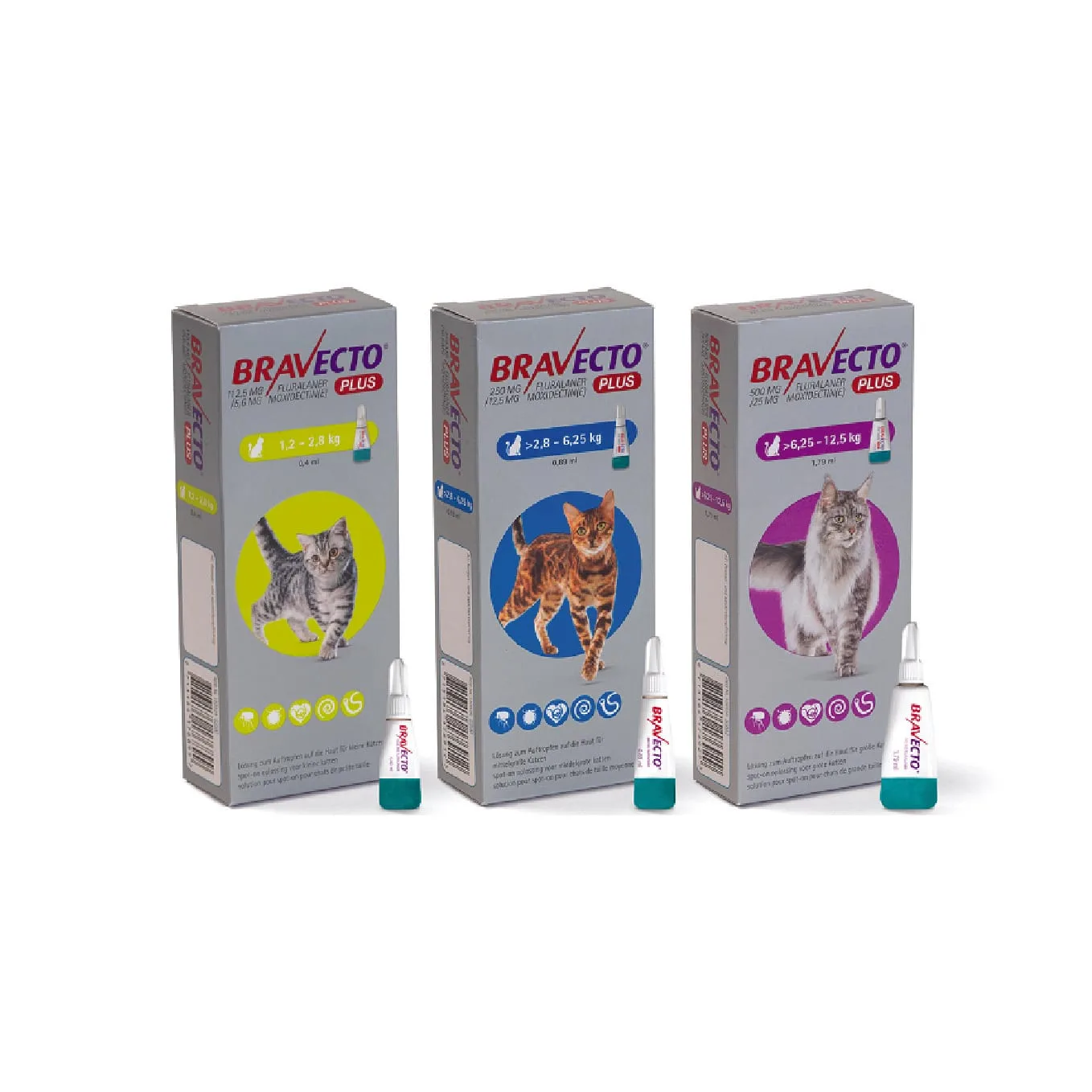 bravecto plus for cats 326x326 01