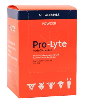 PRO LYTE GLUTAMINE 20G X 10 POWDERS