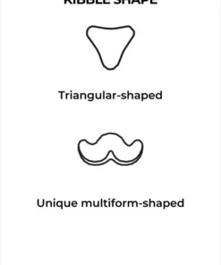 Short Muzzled Adult Dogs
