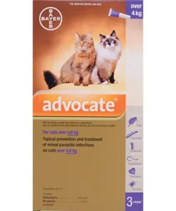 Advocate