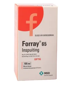 Forray 65