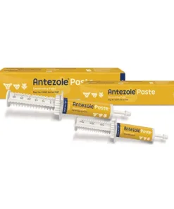 Antezole Paste group shot