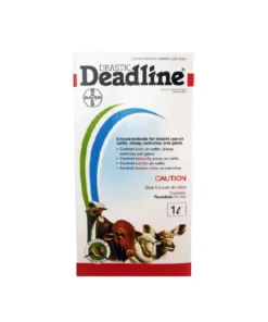 Drastic Deadline 1