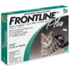 Frontline plus for cats