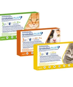 Revolution Plus Cats
