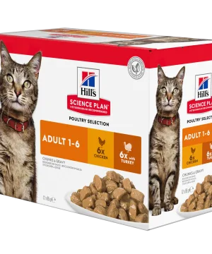 HILL'S SP Adult Wet Cat Food Multipack Feline Adult Chicken Multipack Pouch 604009 MP (1)