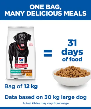 HILL'S SP Perfect Weight & Active Mobility lb days