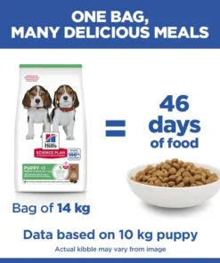 HILL'S SP Puppy Medium Dry Dog Food Lamb & Rice2