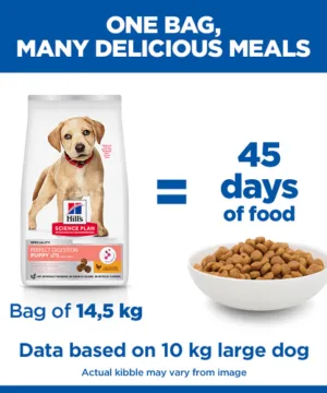 HILL'S SP Puppy Perfect Digestion LB2