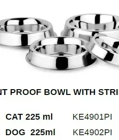 Ant proof cat bowl cat