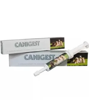 Canigest 30ml 2