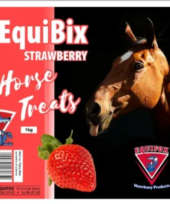 Equibix Horse Treats 1kg Strawberry