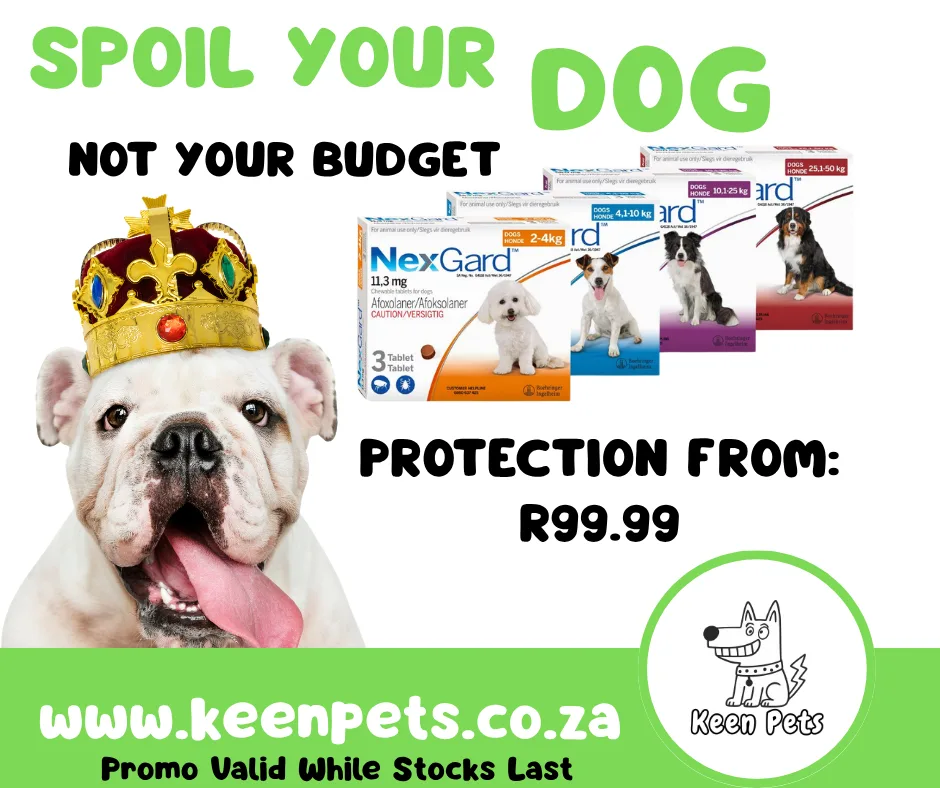 nexgard dog