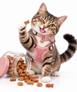Cat Treats
