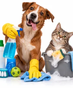 Cleaning & Disinfectants