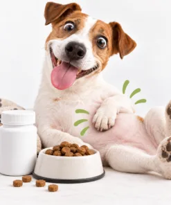 Digestive & Gut Health