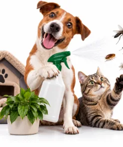 Environmental Flea & Insect Control