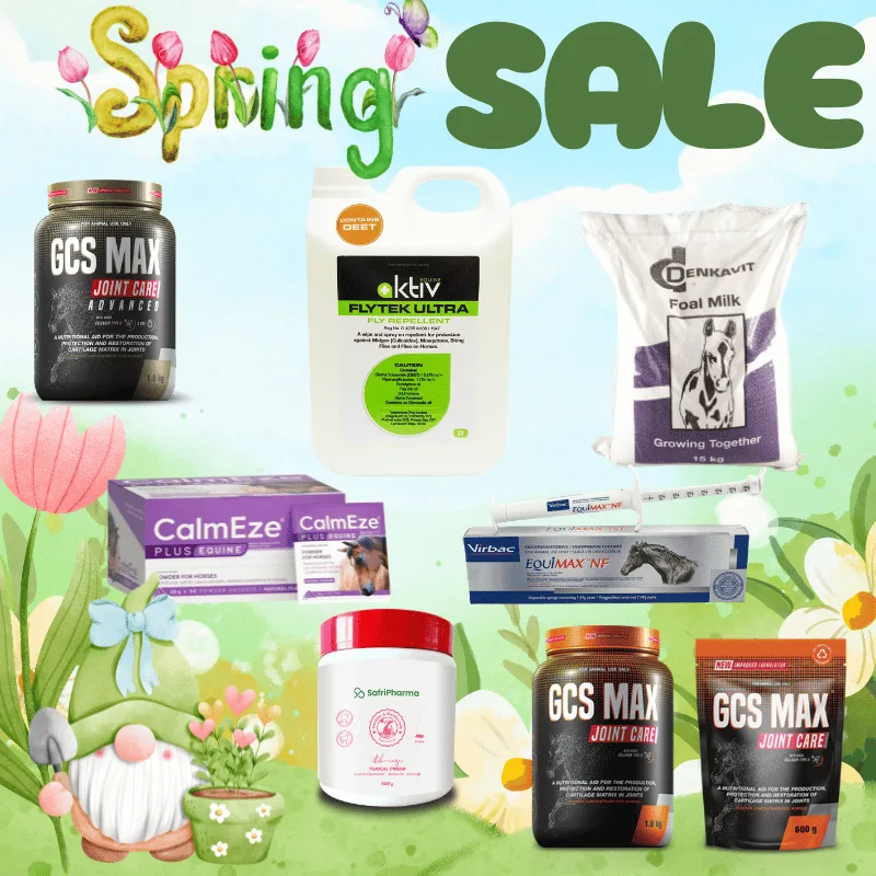 Equine spring sale