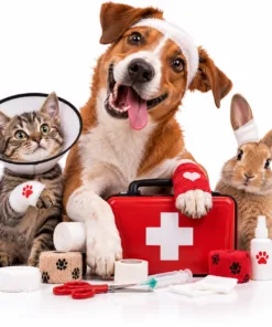 First Aid & Equipment