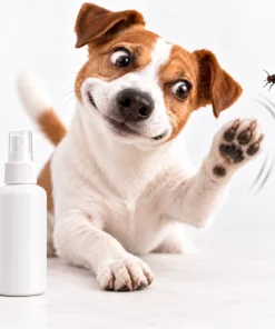 Fly & Insect Control