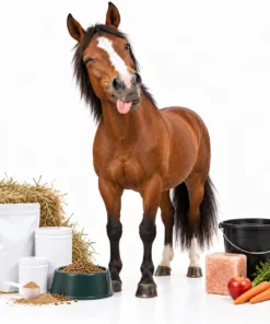 Horse Supplements & Wellness