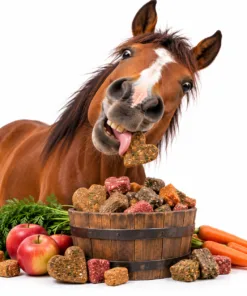 Horse Treats