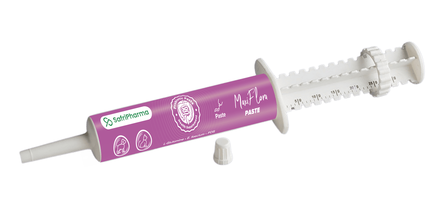 Maxiflora Paste 60Ml Pink