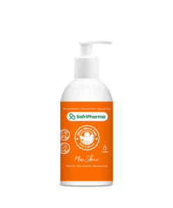 Maxishine 250Ml
