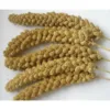 Millet Spray 200g