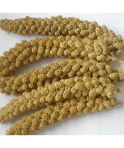 Millet Spray 200g