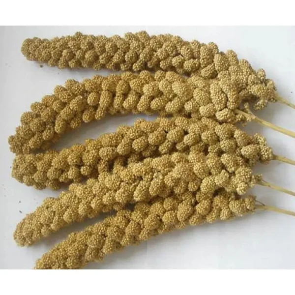 Millet Spray 200g