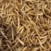 Pets Choice Dried Mealworms 5kg