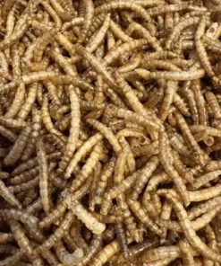 Pets Choice Dried Mealworms 5kg