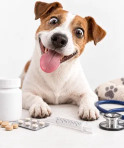 Veterinary Medicines