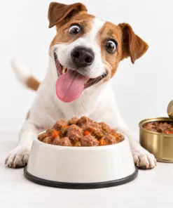 Wet Dog Food