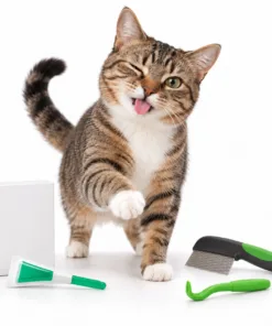 Tick, Flea & Worming