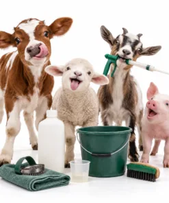 Parasite Control & Worming