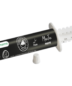 MaxiTox Paste
