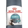 Royal Canin Hairball Care Dry Cat Food