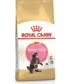 Royal Canin Maine Coon Kitten Dry Cat Food