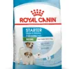 Royal Canin Mini Starter Mother & Babydog Dry Dog Food