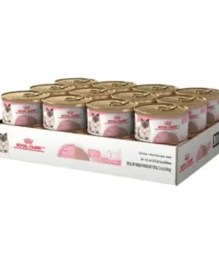 Royal Canin Mother & Babycat Mousse Wet Cat Food 12 x 195 g