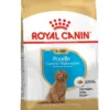 Royal Canin Poodle Puppy Dry Dog Food 3 kg
