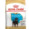 Royal Canin Rottweiler Puppy Dry Dog Food 12 kg