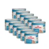 Royal Canin Starter Mousse Can Wet Dog Food 12 x 195 g